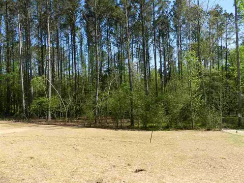 984 Airedale Trl, Garner, NC 27529 photo 15