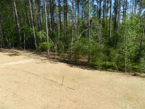 984 Airedale Trl, Garner, NC 27529 photo 13