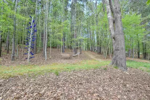 124 Ruby Red, Moncure, NC 27559 photo 24