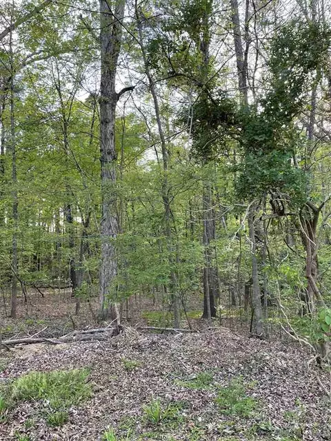 304 Denton St, Durham, NC 27713 photo 3