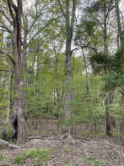 304 Denton St, Durham, NC 27713 photo 6