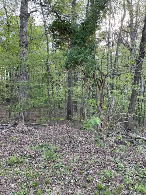 304 Denton St, Durham, NC 27713 photo 7