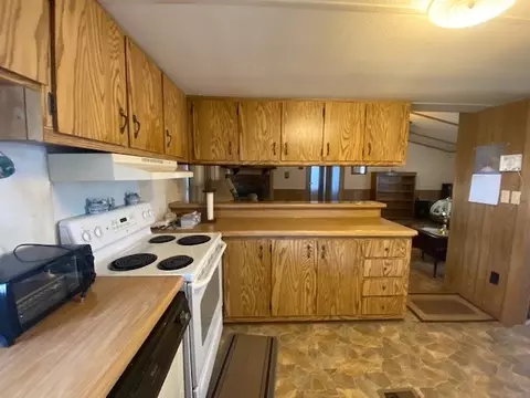 377 Wiggins Rd, Angier, NC 27501 photo 10