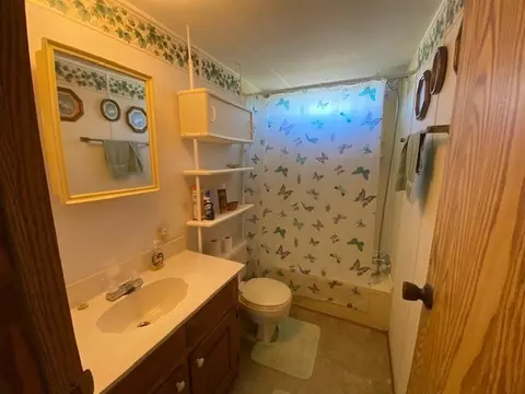 377 Wiggins Rd, Angier, NC 27501 photo 18