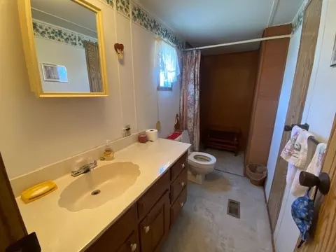377 Wiggins Rd, Angier, NC 27501 photo 15