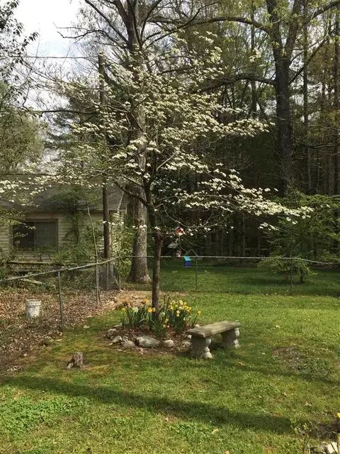 5907 Newhall Rd, Durham, NC 27713 photo 28