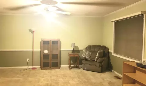 133 Lansing Dr, Benson, NC 27504 photo 6