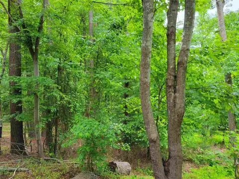107 Wainwright Ct, Durham, NC 27712 photo 3