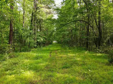 921 Mclamb Dr, Durham, NC 27703 photo 5