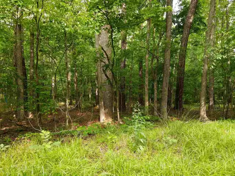 921 Mclamb Dr, Durham, NC 27703 photo 4