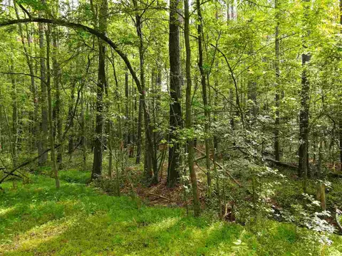 921 Mclamb Dr, Durham, NC 27703 photo 6