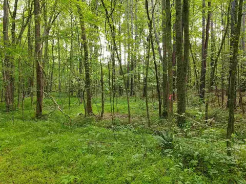 921 Mclamb Dr, Durham, NC 27703 photo 9