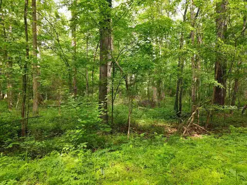 921 Mclamb Dr, Durham, NC 27703 photo 8