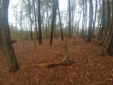 900 Morreene Rd, Durham, NC 27705 photo 2