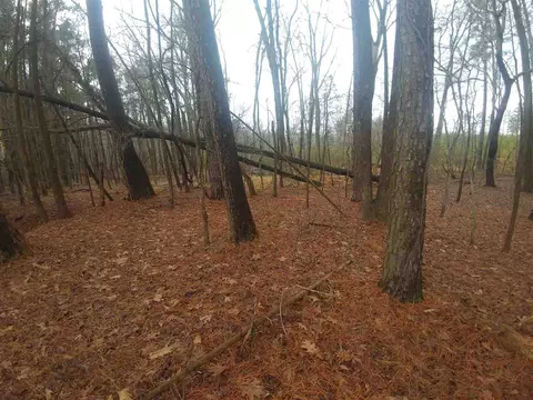 900 Morreene Rd, Durham, NC 27705 photo 3