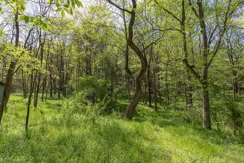 565 Erwin Rd, Durham, NC 27707 photo 4