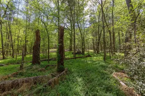 565 Erwin Rd, Durham, NC 27707 photo 5