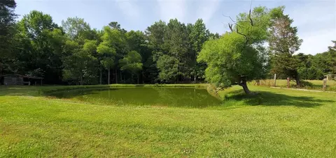 2235 Bud Lipscomb Rd, Willow Spring, NC 27592 photo 23