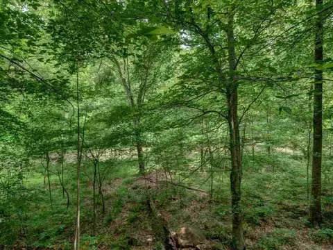 1100 Trails End Rd, Durham, NC 27712 photo 28