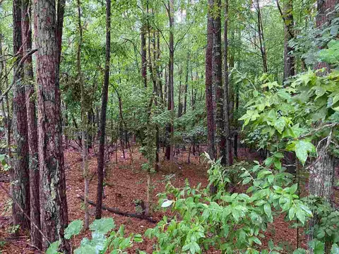 1100 Brown St, Durham, NC 27713 photo 10