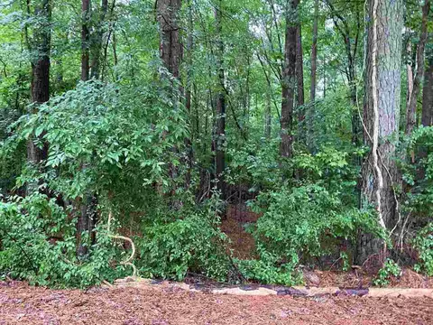 1100 Brown St, Durham, NC 27713 photo 14