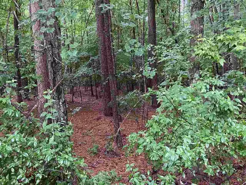 1100 Brown St, Durham, NC 27713 photo 9