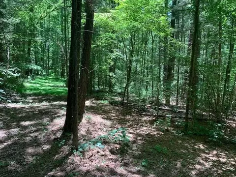 1171 Rougemont Rd, Rougemont, NC 27572 photo 15