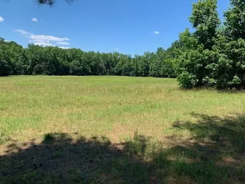 1171 Rougemont Rd, Rougemont, NC 27572 photo 6