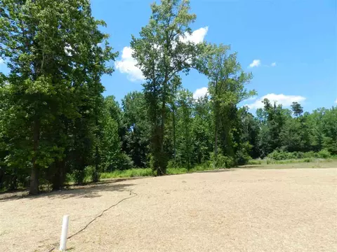 170 Caleb Acres Ln, Smithfield, NC 27577 photo 5