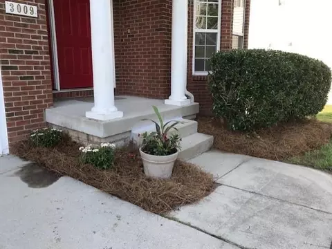 3009 Polanski Dr, Wake Forest, NC 27587 photo 2