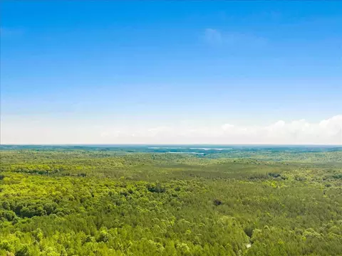 135 Ruby Red, Moncure, NC 27559 photo 30