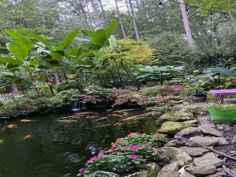 8537 Smith Rd, Apex, NC 27539 photo 3