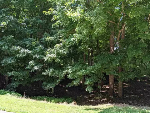 7105 Incline Dr, Wake Forest, NC 27587 photo 3