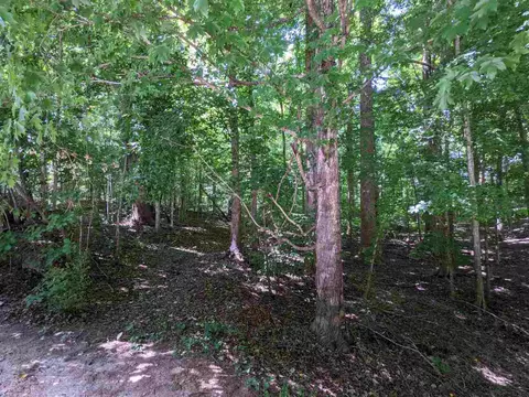 7105 Incline Dr, Wake Forest, NC 27587 photo 4