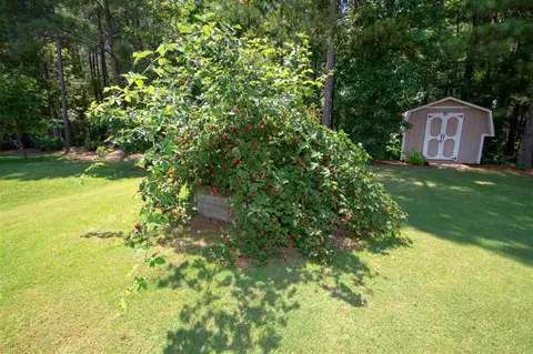 50 Langdon Pointe Dr, Garner, NC 27529 photo 29