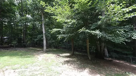 1017 Wolf Laurel Ct, Rougemont, NC 27572 photo 17