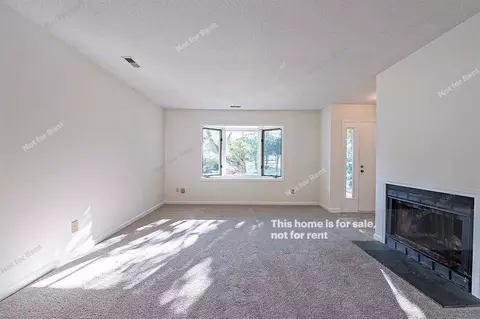 104 Perriwinkle Pl, Durham, NC 27713 photo 4