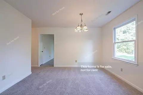 104 Perriwinkle Pl, Durham, NC 27713 photo 11