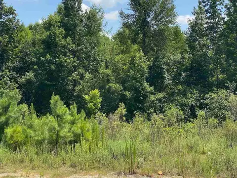 1010 Wise Rd, Dunn, NC 28334 photo 2
