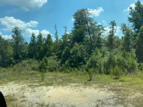 1010 Wise Rd, Dunn, NC 28334 photo 1