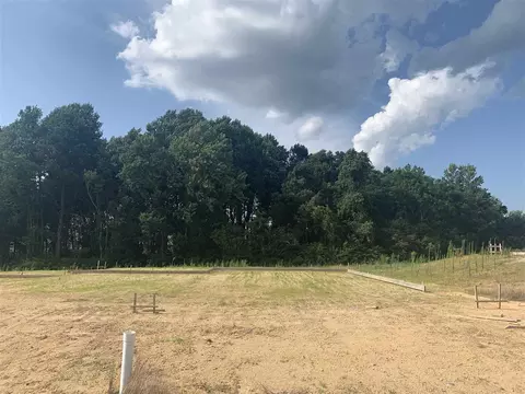 228 Shingle Oak Rd, Wake Forest, NC 27587 photo 3