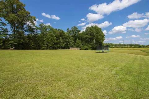 7807 Creech Rd, Middlesex, NC 27557 photo 25