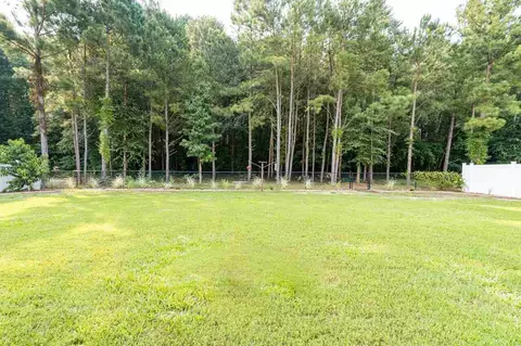 223 Saylor Ridge Ln, Willow Spring, NC 27592 photo 14