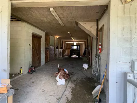9307 Castalia Loop Rd, Castalia, NC 27816 photo 6