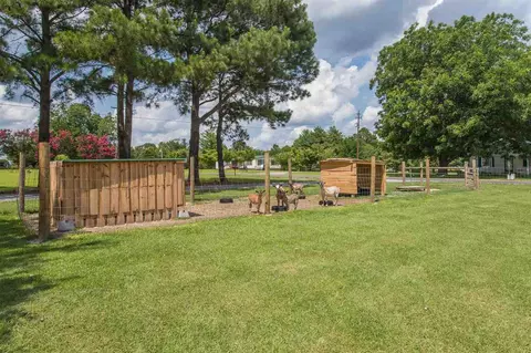 5734 Old Fairground Rd, Benson, NC 27504 photo 28