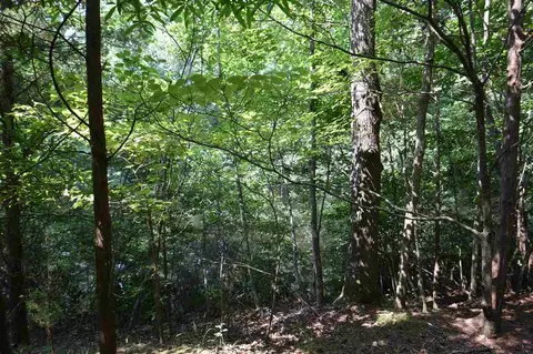 5321 Stephens Ln, Durham, NC 27712 photo 4