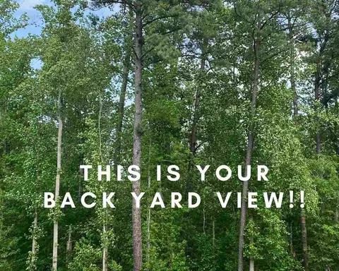 814 Laurel Gate Dr, Wake Forest, NC 27587 photo 3