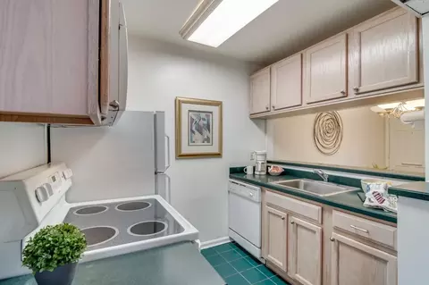 807 W Trinity Ave #208, Durham, NC 27701 photo 7