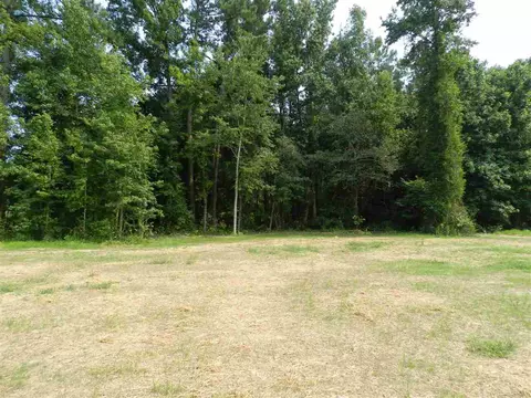 235 Caleb Acres Ln, Smithfield, NC 27577 photo 12