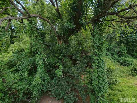 821 Millbrook Ave, Durham, NC 27707 photo 1